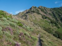 Valleraugue (30) Le sentier sur la crête 12 juillet 2018