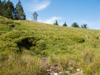 Bassurels (48) La source du Tarnon 12 juillet 2018