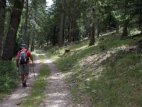 Bassurels (48) Piste forestière avant Aire de Côte 12 juillet 2018