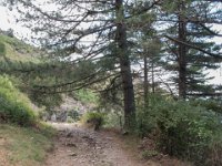 Valleraugue (30) Le sentier de la descente vers le col du Pas 12 juillet 2018