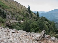 Valleraugue (30) La draille de la descente vers le col du Pas 12 juillet 2018