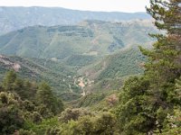 Valleraugue (30) La vallée du Clarou vue de la descente vers le col du Pas 12 juillet 2018